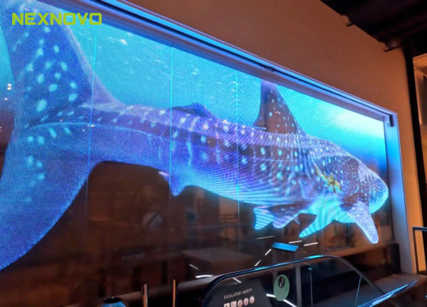 晶泓LED光电玻璃入驻澳大利亚博物馆——数字化时代的场馆设计